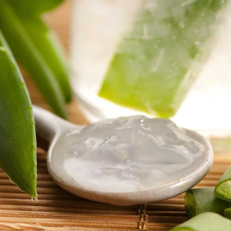 Αλόη Βέρα - Ο Απόλυτος Οδηγός